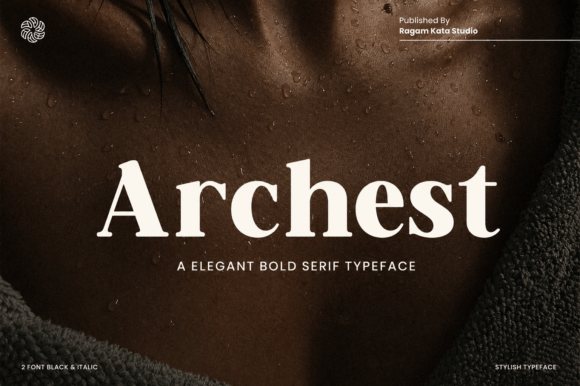 Download Archest - Premium Bundle