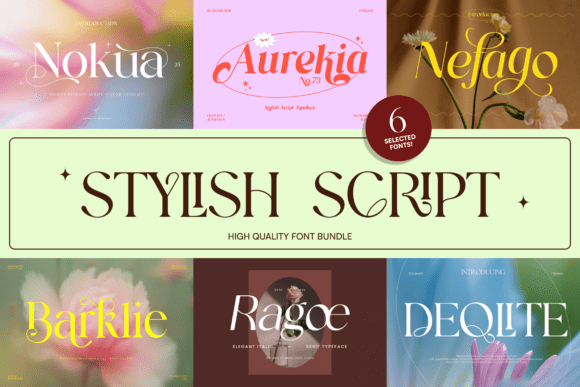 Download Stylish Script Bundle - Stylish script Collection